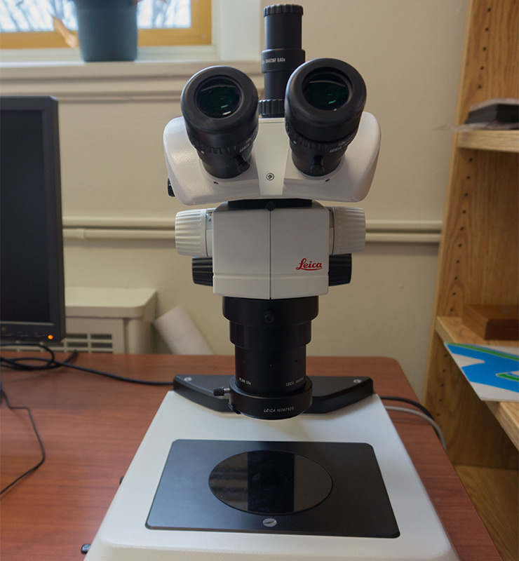 Stéréomicroscope (M80)