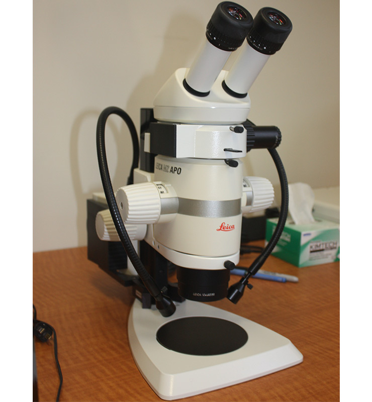 Stéréomicroscope (MZ APO)