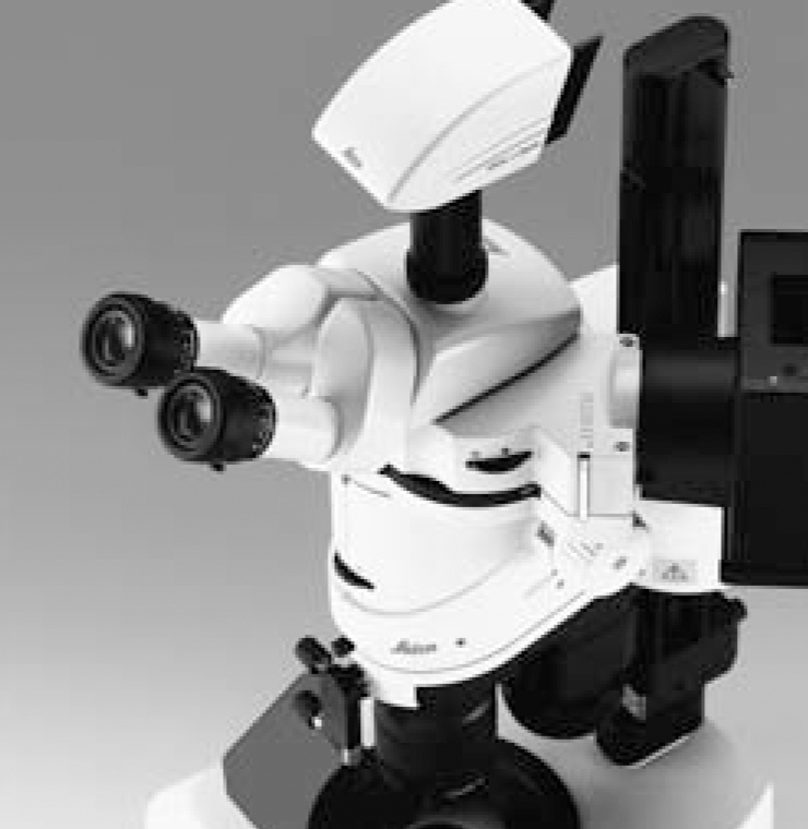 Microscope stéréoscopique (MZ16)