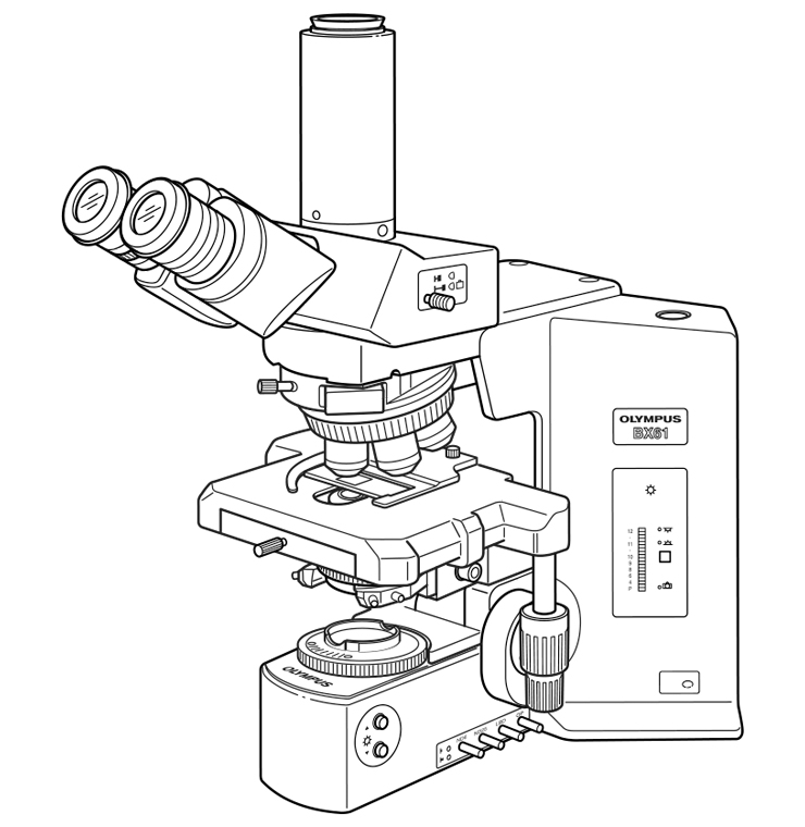 Microscope (BX61TRF)