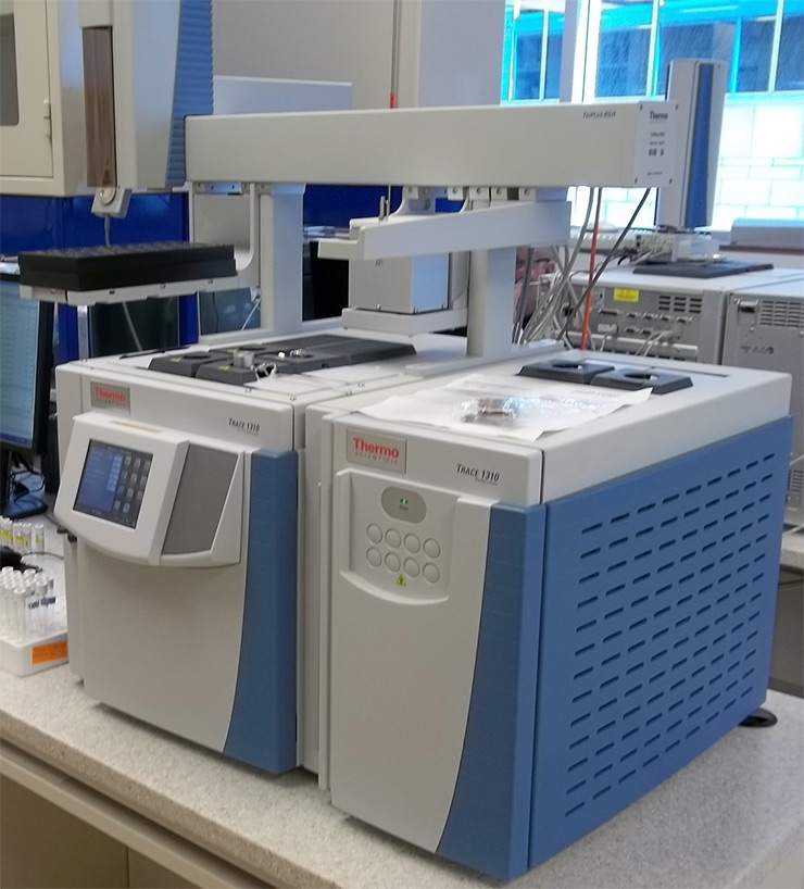 Chromatographe en phase gazeuse (1310)